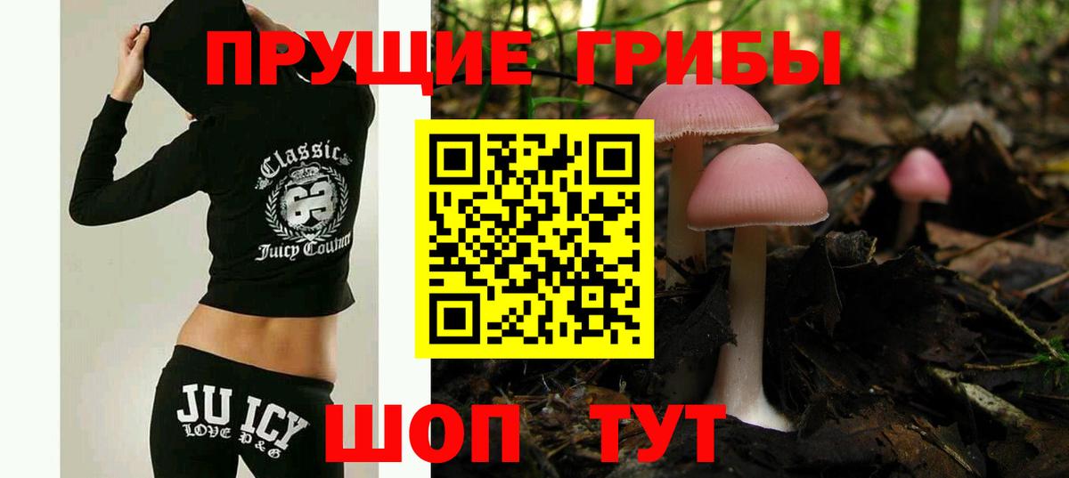 Псилоцибиновые грибы прущие грибы Волгоград